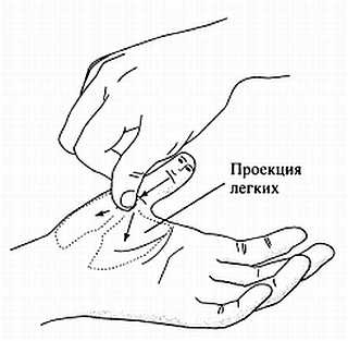 Иллюстрация к книге — Сам себе Су Джок доктор [_80.jpg]