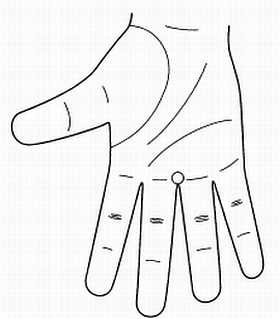 Иллюстрация к книге — Сам себе Су Джок доктор [_85.jpg]