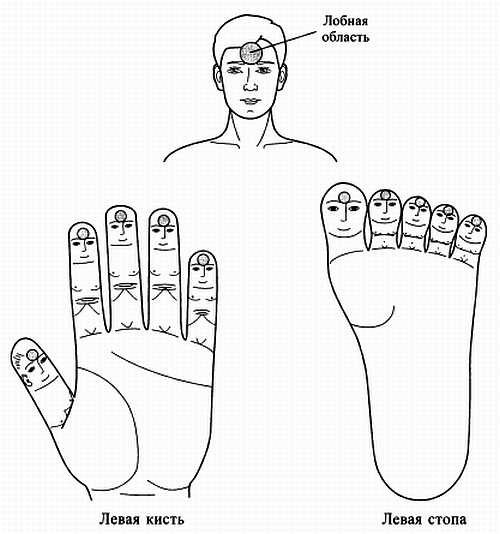 Иллюстрация к книге — Сам себе Су Джок доктор [_87.jpg]