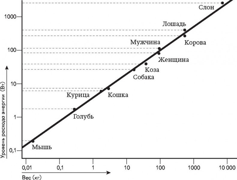 Иллюстрация к книге — Города вам на пользу. Гений мегаполиса [i_009.jpg]