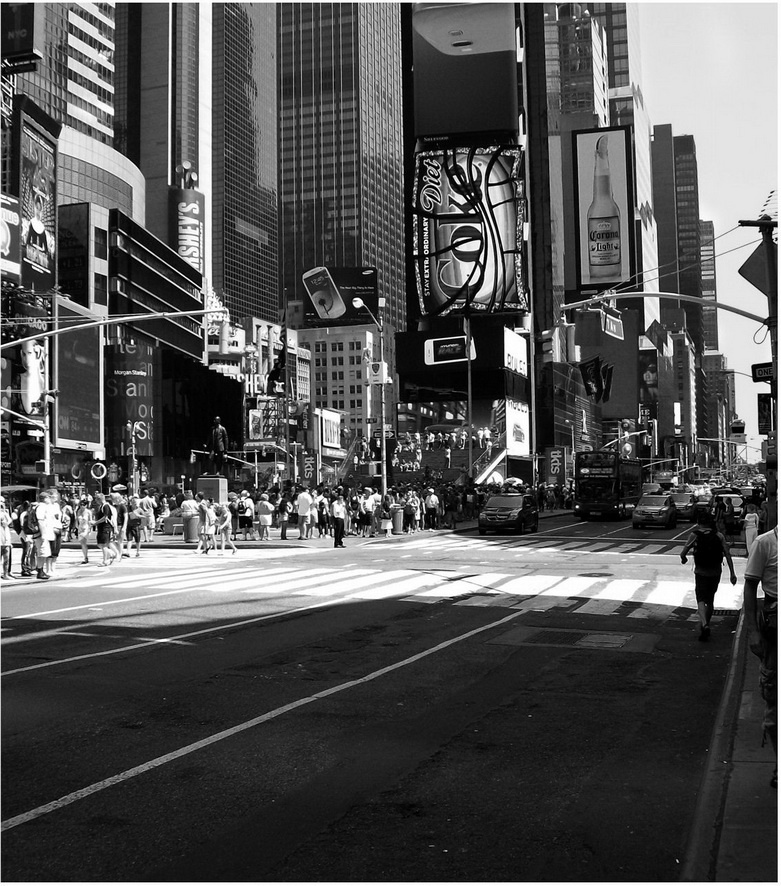 Иллюстрация к книге — Города вам на пользу. Гений мегаполиса [i_027.jpg]