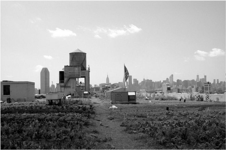 Иллюстрация к книге — Города вам на пользу. Гений мегаполиса [i_065.jpg]