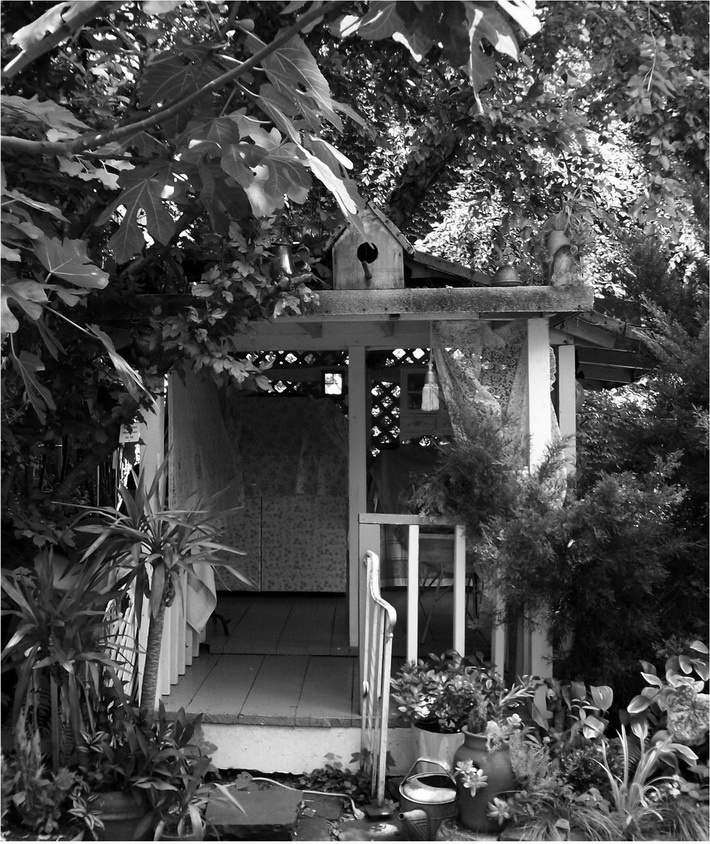 Иллюстрация к книге — Города вам на пользу. Гений мегаполиса [i_066.jpg]