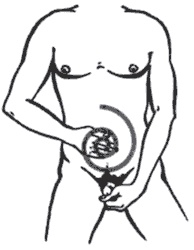 Иллюстрация к книге — Секреты любви. Даосская практика для женщин и мужчин [i_012.jpg]