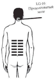 Иллюстрация к книге — Секреты любви. Даосская практика для женщин и мужчин [i_014.jpg]