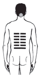 Иллюстрация к книге — Секреты любви. Даосская практика для женщин и мужчин [i_015.jpg]