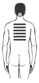 Иллюстрация к книге — Секреты любви. Даосская практика для женщин и мужчин [i_016.jpg]