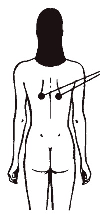 Иллюстрация к книге — Секреты любви. Даосская практика для женщин и мужчин [i_029.jpg]