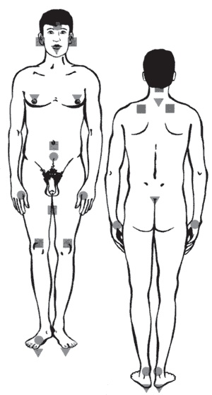 Иллюстрация к книге — Секреты любви. Даосская практика для женщин и мужчин [i_037.jpg]