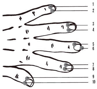 Иллюстрация к книге — Секреты любви. Даосская практика для женщин и мужчин [i_039.jpg]