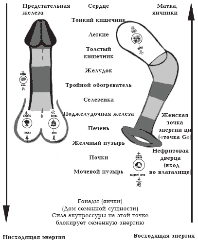 Иллюстрация к книге — Секреты любви. Даосская практика для женщин и мужчин [i_050.jpg]
