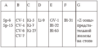 Иллюстрация к книге — Секреты любви. Даосская практика для женщин и мужчин [i_059.jpg]