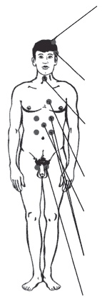 Иллюстрация к книге — Секреты любви. Даосская практика для женщин и мужчин [i_069.jpg]