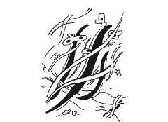 Иллюстрация к книге — Психология творчества, креативности, одаренности [autogen_ebook_id49.jpg]