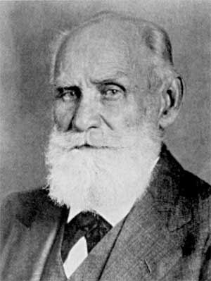 Иллюстрация к книге — Психология индивидуальных различий [autogen_ebook_id12.jpg]