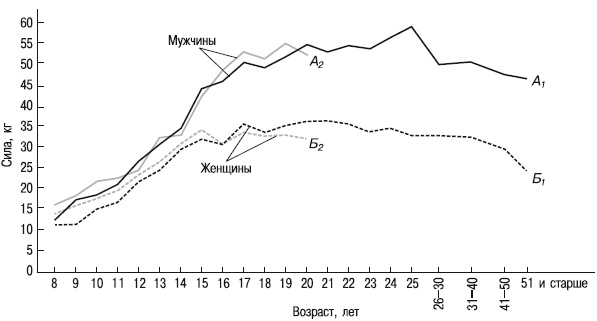 Иллюстрация к книге — Психология взрослости [autogen_ebook_id19.jpg]