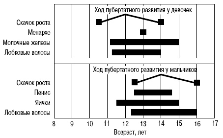Иллюстрация к книге — Пол и гендер [autogen_ebook_id135.jpg]
