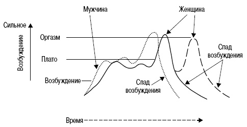 Иллюстрация к книге — Пол и гендер [autogen_ebook_id144.jpg]
