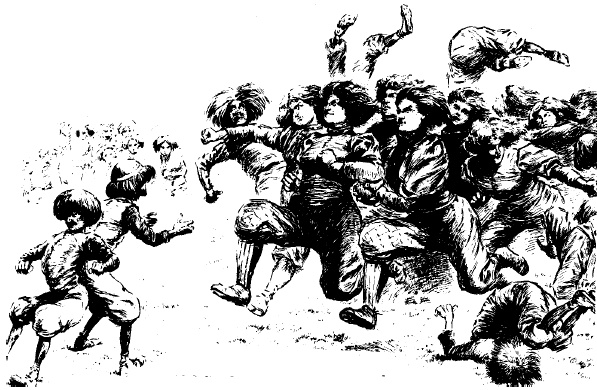 Иллюстрация к книге — Пол и гендер [autogen_ebook_id34.jpg]