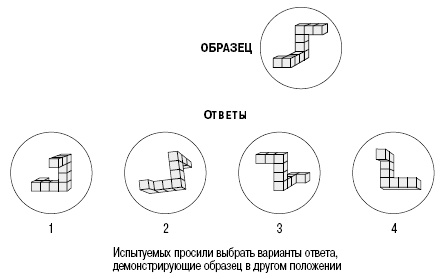 Иллюстрация к книге — Пол и гендер [autogen_ebook_id79.jpg]