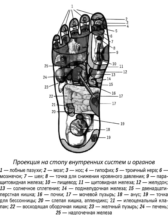 Иллюстрация к книге — Формула Бога. Как работают системные расстановки и Единое информационное поле Вселенной [i_011.jpg]