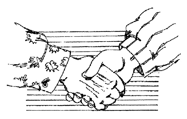 Иллюстрация к книге — Как быть счастливым всегда. 128 советов, которые избавят вас от стресса и тревоги [img_078.jpg]