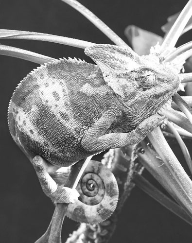 Иллюстрация к книге — Манипулирование людьми [i_057.jpg]