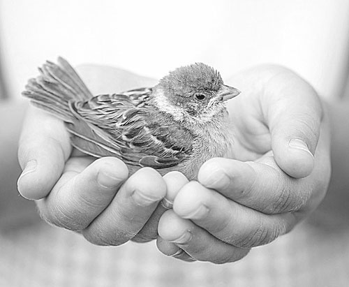 Иллюстрация к книге — Манипулирование людьми [i_076.jpg]