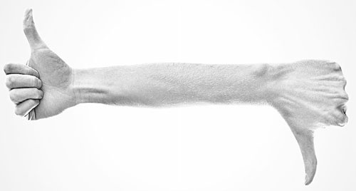 Иллюстрация к книге — Манипулирование людьми [i_085.jpg]