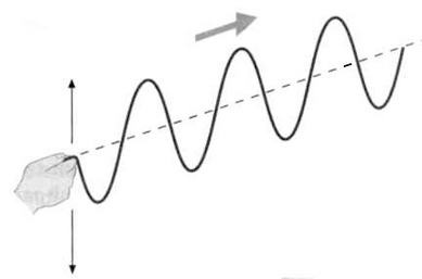 Иллюстрация к книге — Гюйгенс. Волновая теория света. В погоне за лучом [img_60.jpg]