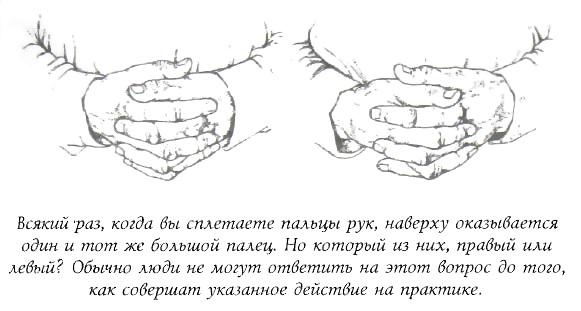 Иллюстрация к книге — Библия языка телодвижений [_1.jpg]