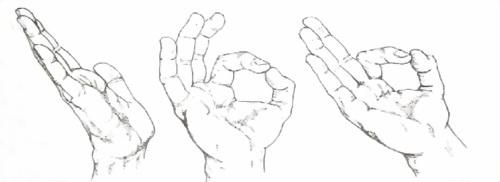 Иллюстрация к книге — Библия языка телодвижений [_26.jpg]