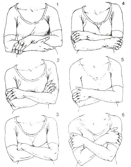 Иллюстрация к книге — Библия языка телодвижений [_3.jpg]