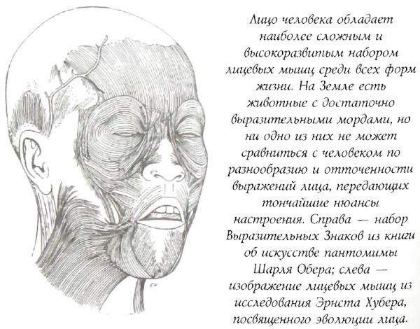 Иллюстрация к книге — Библия языка телодвижений [_5.jpg]
