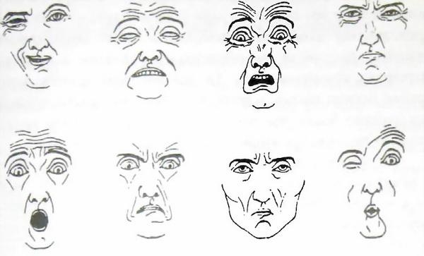 Иллюстрация к книге — Библия языка телодвижений [_6.jpg]