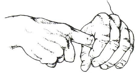 Иллюстрация к книге — Библия языка телодвижений [_69.jpg]