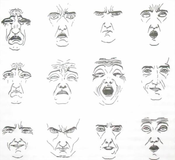 Иллюстрация к книге — Библия языка телодвижений [_7.jpg]