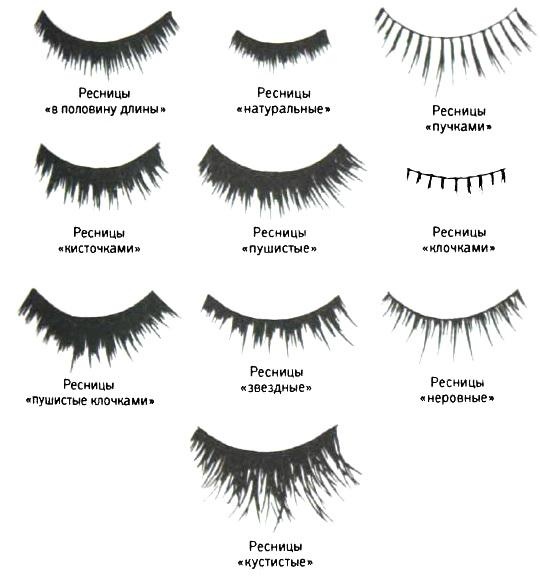 Иллюстрация к книге — Библия языка телодвижений [_92.jpg]