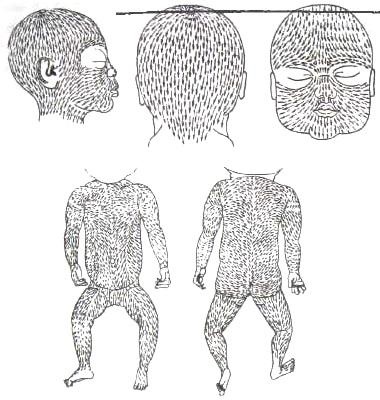 Иллюстрация к книге — Библия языка телодвижений [_93.jpg]