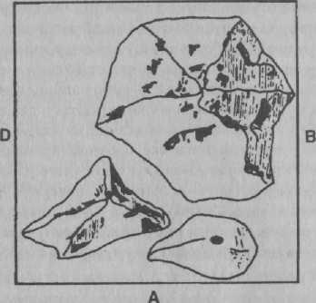 Иллюстрация к книге — Психология развития. Методы исследования [img_31.jpg]