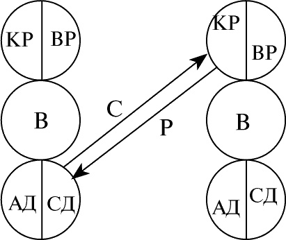 Иллюстрация к книге — Виктимология. Психология поведения жертвы [i_009.jpg]