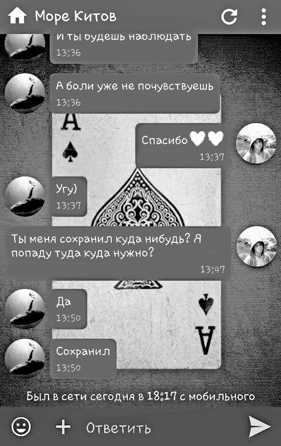 Иллюстрация к книге — Дети в сети. Шлем безопасности ребенку в интернете [i_041.jpg]