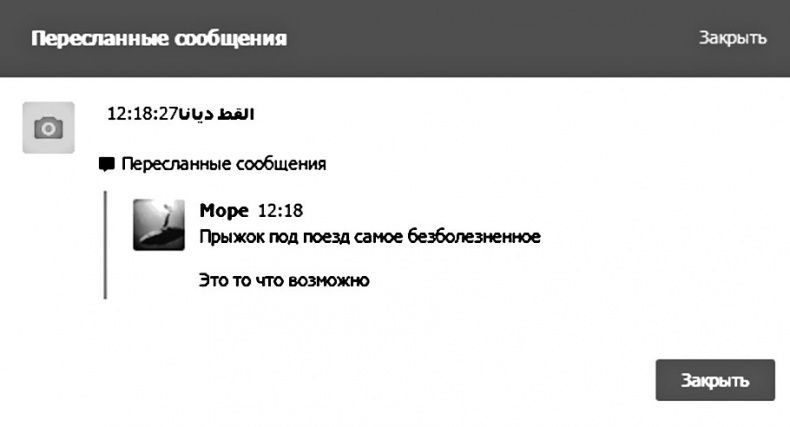 Иллюстрация к книге — Дети в сети. Шлем безопасности ребенку в интернете [i_059.jpg]