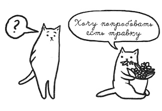 Иллюстрация к книге — Муза, где твои крылья? Книга о том, как отстоять свое желание сделать творчество профессией и научиться жить на вдохновении, не оборвав Музе крылья [i_049.jpg]