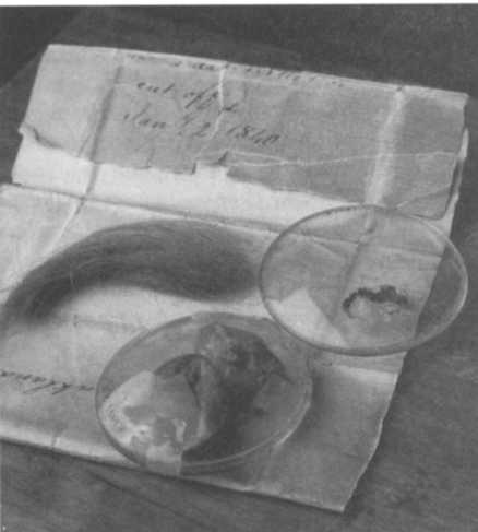 Иллюстрация к книге — Дальтон. Атомная теория [img_8.jpg]