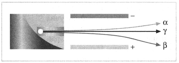 Иллюстрация к книге — Мария Кюри. Радиоактивность и элементы [i_026.jpg]