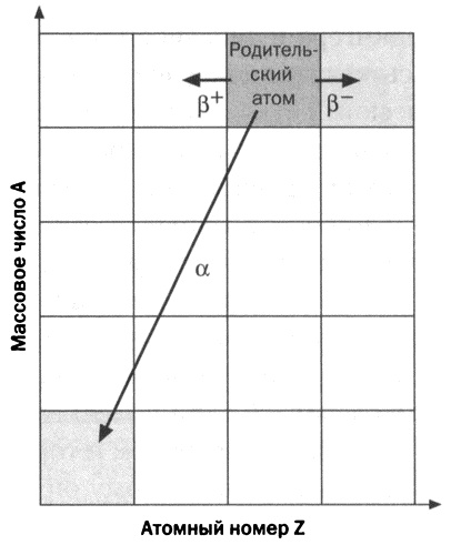 Иллюстрация к книге — Мария Кюри. Радиоактивность и элементы [i_050.jpg]