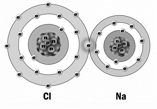 Иллюстрация к книге — Физика на пальцах. Для детей и родителей, которые хотят объяснять детям [i_023.jpg]