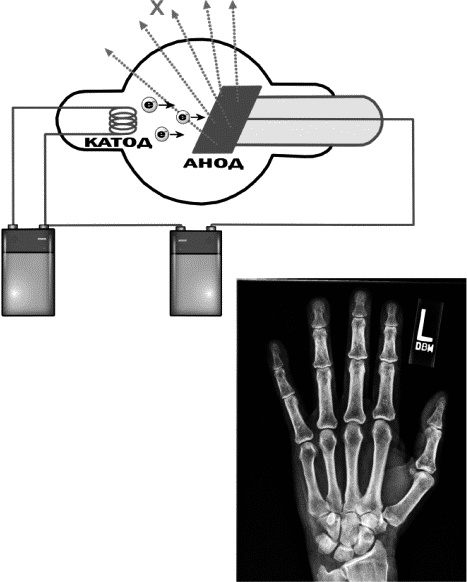 Иллюстрация к книге — Физика на пальцах. Для детей и родителей, которые хотят объяснять детям [i_030.jpg]