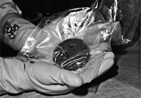 Иллюстрация к книге — Физика на пальцах. Для детей и родителей, которые хотят объяснять детям [i_034.jpg]